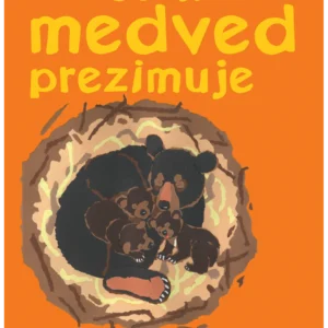 KAKO ČRNI MEDVED PREZIMUJE